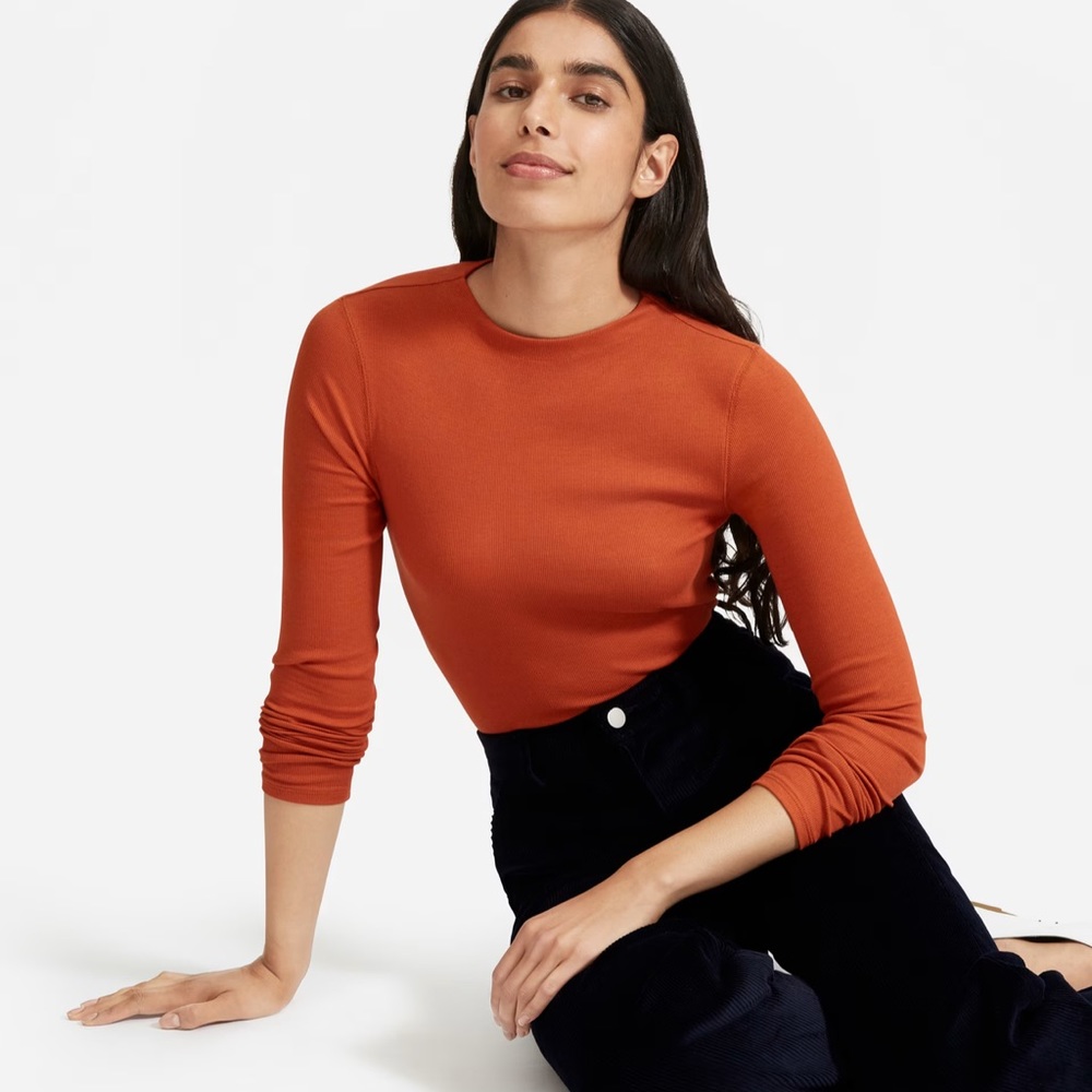 Everlane Pima Micro Rib Funnel Neck